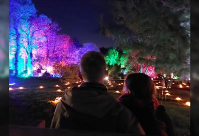 RHS Glow at RHS Rosemoor