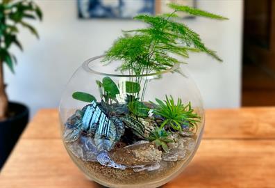 Glass Terrarium Workshop with Prosecco