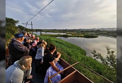 The Bird Watching Tram