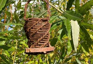 Willow Bird Feeder Workshop