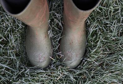 Welly Wandering Walks