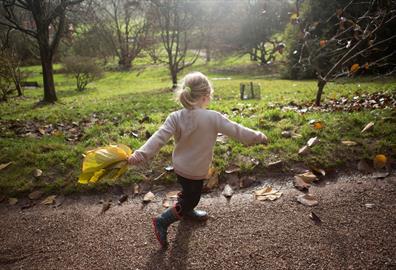 Autumn Antics