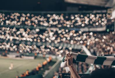 Fan holding green and white scarf at football game