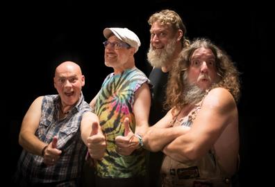 Hayseed Dixie