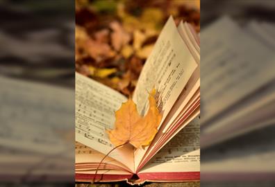Under the Green Word Tree: Music and Poetry - 7:3