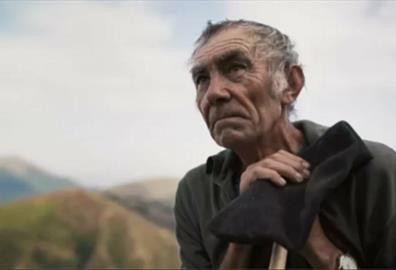 The Shepherd and the Bear