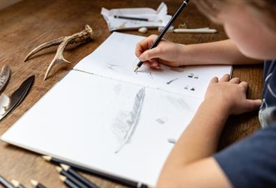 Drawing club for home educators, 5-11 year olds