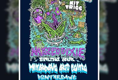 Hayseed Dixie