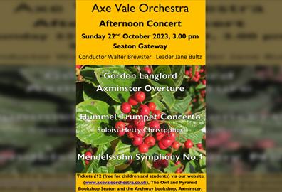 Afternoon Concert