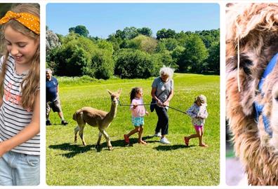 Canonteign Falls Alpaca Walks