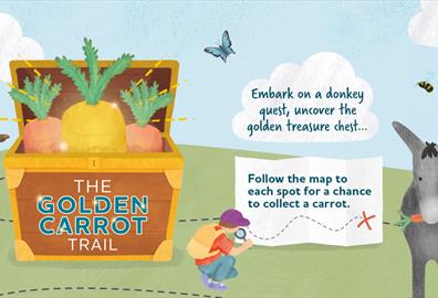 The Golden Carrot Trail – Summer Hunt
