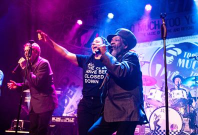 Too Much Too Young - The Story of 2Tone & Beyond!