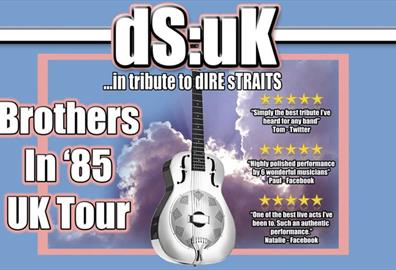 Ds:uk...in Tribute To Dire Straits