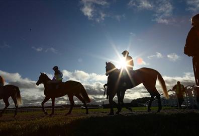 Christmas Cup Raceday
