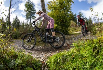 Cycling at Haldon Forest Park