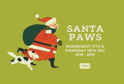Santa Paws Grotto
