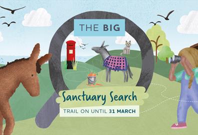 The Big Sanctuary Search Trail