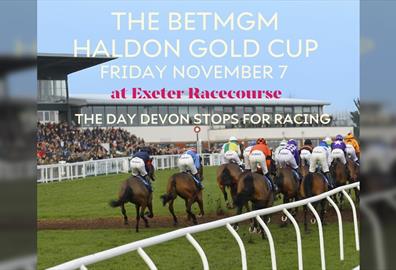The BetMGM Haldon Gold Cup