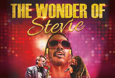 The Wonder of Stevie