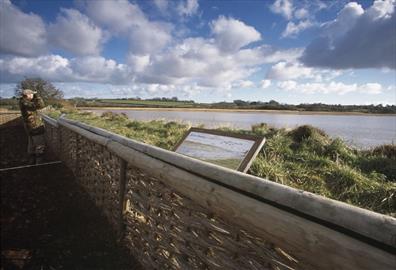 Bowling Green Marsh (c) RSPB-Images