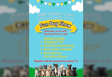 Cadogan Court Summer Fair