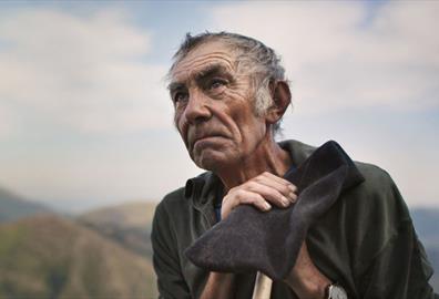 The Shepherd and the Bear