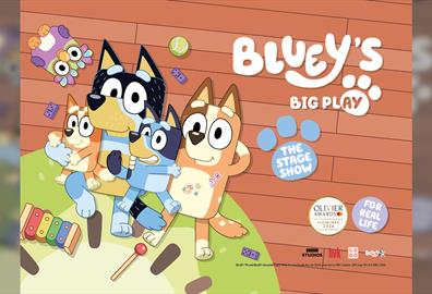 Bluey's Big Play