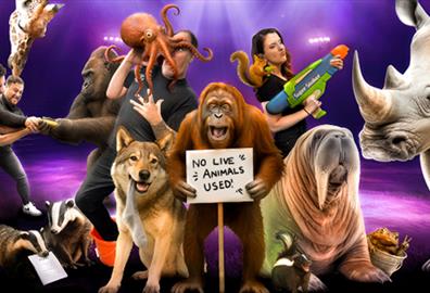 Amazing Animals