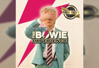 The Bowie Experience