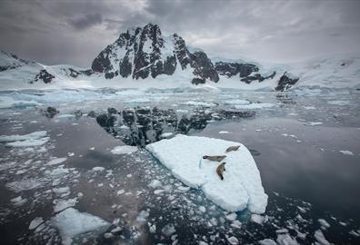 Earth Photo Exhibition