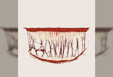 The Psychology Of Horror Movies: How Horror Speaks To The Subconscious