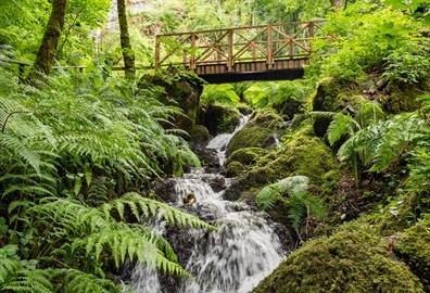 Canonteign Falls