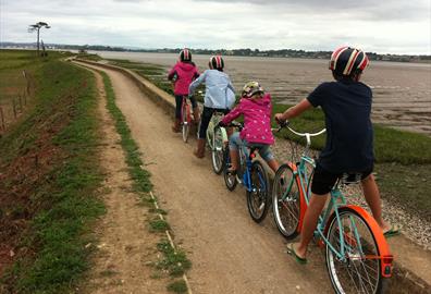 Darts Farm Cycle Hire