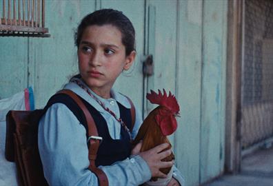 The President's Cake