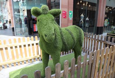 Princesshay Goes Wild