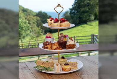 Bray beyond borders; Afternoon Tea for Donkeys Worldwide