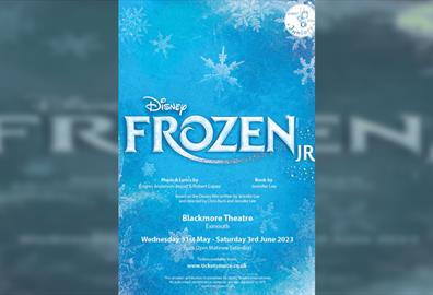 Disney Frozen JR