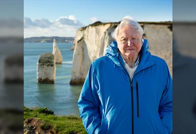 David Attenborough: Ocean