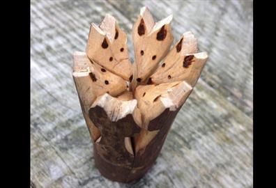 Woodcraft for Wellbeing workshop: Carving connection with nature - fox amulets