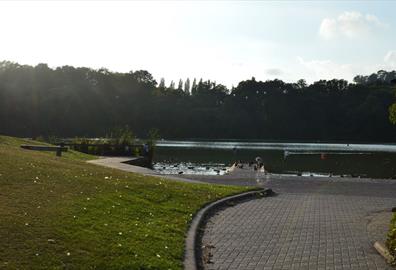 Decoy Country Park pathway