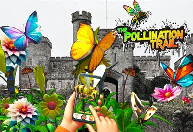 The Pollination Trail