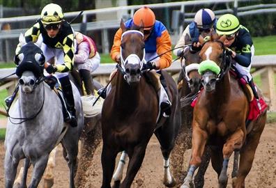 People racing horses