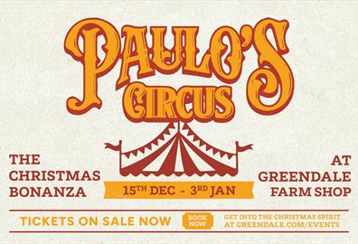 Paulo's Christmas Circus