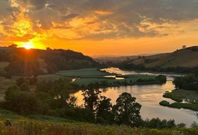 Rewilding Tour with Ambios on the Sharpham Estate