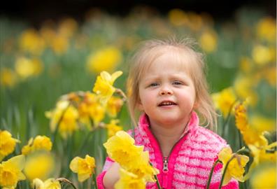 RSPB Easter trail at Darts Farm