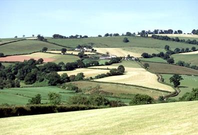 Exe Valley view