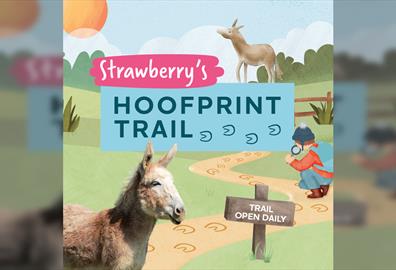 Strawberry’s Hoofprint Trail