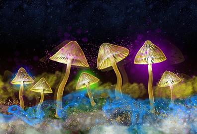 The Science Of Psychedelics With Dr David Luke