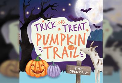 Pumpkin Trick or Treat Trail