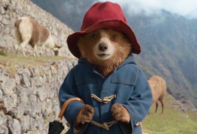 Paddington in Peru